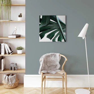 Leinwandbild Urban Jungle 02 - Monstera Deliciosa - Quadratisch 