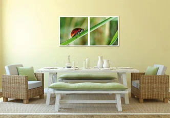 Wall print Ladybug Solo 