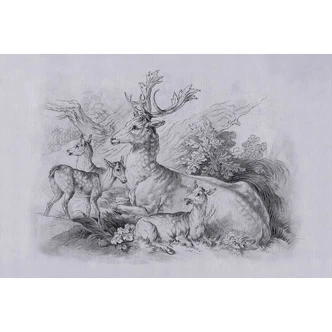 Livingwalls fotomurale Walls by Patel 3 Sull'erba 