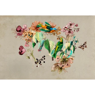 Livingwalls Fototapete Walls by Patel 3 Love Nest 1 grün, beige, orange, rosa, türkis Livingwalls Fototapete Walls by Patel 3 Love Nest 1 grün, beige, orange, rosa, türkis