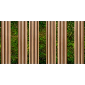 Mossa och trä ser grönt och brunt ut - non-woven Fototapet naturdesign 