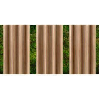 Fototapet i jordtoner med moss- och trälook - non-woven tapet för en naturlig atmosfär 