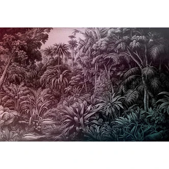 Fototapete Dschungel in Monochrom - Tropisches Pflanzenmotiv - Vlies 