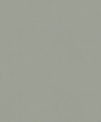 Tapete SCHÖNER-WOHNEN Vliestapete, Unitapete grün 