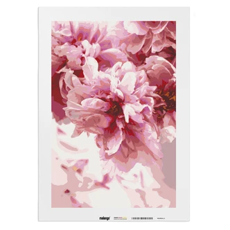 Malen nach Zahlen Leinwandbild - Rosen zur Blüte  