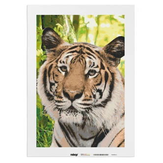Malen nach Zahlen Leinwandbild - Tiger im Dschungel  