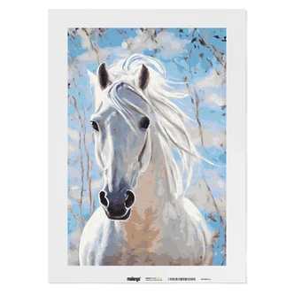 Malen nach Zahlen Leinwandbild - Pferd Piedro Himmel Malen nach Zahlen Leinwandbild - Pferd Piedro Himmel