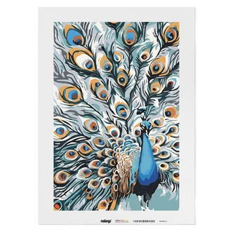 Malen nach Zahlen Leinwandbild - Pfau Pablo Malen nach Zahlen Leinwandbild - Pfau Pablo