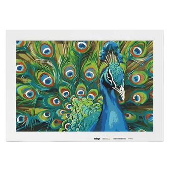 Malen nach Zahlen Leinwandbild - Pfau Paolo Malen nach Zahlen Leinwandbild - Pfau Paolo
