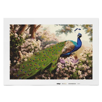 Malen nach Zahlen Leinwandbild - Pfau Patrice Malen nach Zahlen Leinwandbild - Pfau Patrice