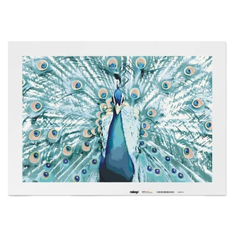 Malen nach Zahlen Leinwandbild - Pfau Patricio Malen nach Zahlen Leinwandbild - Pfau Patricio