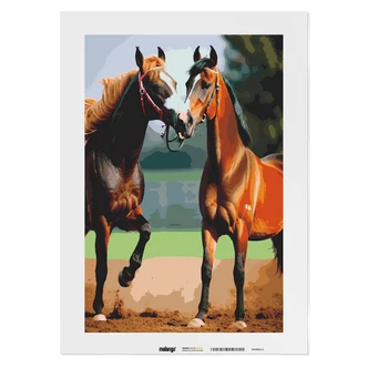 Malen nach Zahlen Leinwandbild - Zwei braune Pferde Malen nach Zahlen Leinwandbild - Zwei braune Pferde