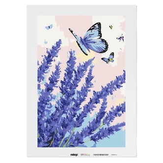 Malen nach Zahlen Leinwandbild - Schmetterlinge am Lavendel Malen nach Zahlen Leinwandbild - Schmetterlinge am Lavendel