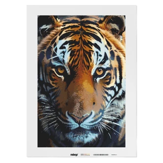Malen nach Zahlen Leinwandbild - Tiger Talha Malen nach Zahlen Leinwandbild - Tiger Talha