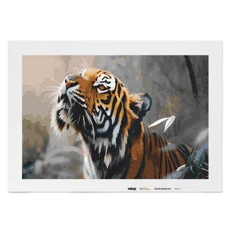 Malen nach Zahlen Leinwandbild - Tiger Tom Malen nach Zahlen Leinwandbild - Tiger Tom