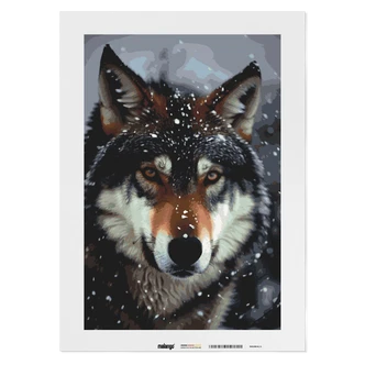 Malen nach Zahlen Leinwandbild - Wolf Waldo Malen nach Zahlen Leinwandbild - Wolf Waldo