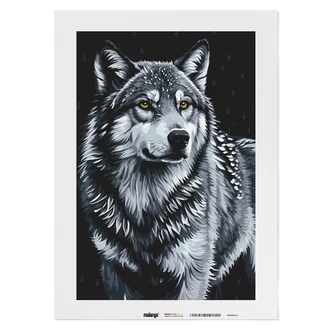 Malen nach Zahlen Leinwandbild - Wolf Wolfram Malen nach Zahlen Leinwandbild - Wolf Wolfram