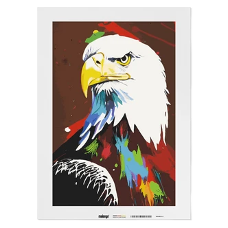 Malen nach Zahlen Leinwandbild - Adler Adam  