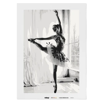 Malen nach Zahlen Leinwandbild - Ballerina Bella  