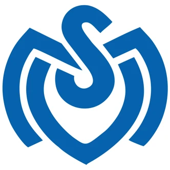 Wandtattoo MSV Duisburg Retro Logo 