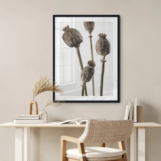 Poster 1X Studio - Getrocknete Mohnköpfe 