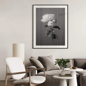 Poster 1X Studio - Zwart Witte Rozen Poster 1X Studio - Zwart Witte Rozen