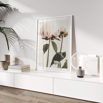 Poster 1X Studio - Rozen 