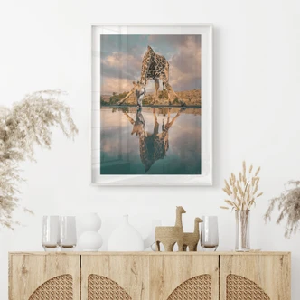 Safari Poster - Reflection of a giraffe in the wild - Amtmann 
