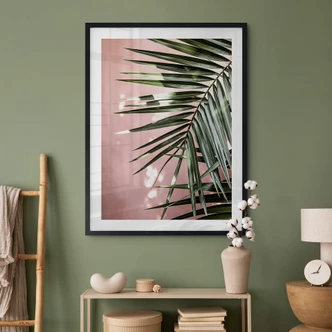 Poster Feuille de palmier sur mur rose - Böhmer 
