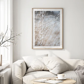 Póster Hierbas delicadas en la nieve - Böhmer 