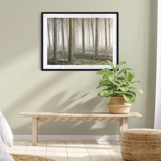 Poster Carozzi - Sprookjesbos vol Bomen in de Ochtendnevel 