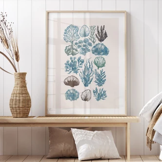 Poster Filigrane Algen und Muscheln - casa cartissi 