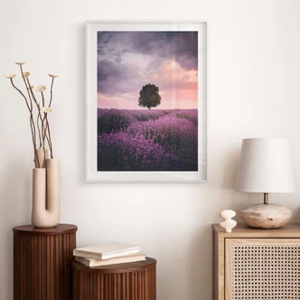 Poster Lila Lavendelfelder bei Sonnenuntergang - Cevik 