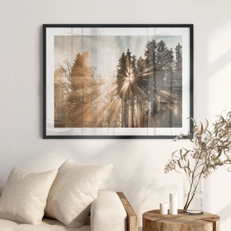Póster sobre la naturaleza Rayos de luz en el bosque - Eisenmann 