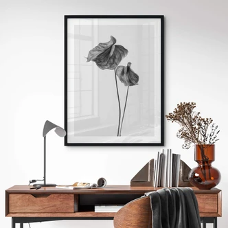 Poster Grønkjær - Anthurium 