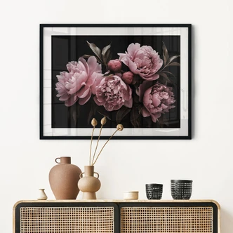 Poster Pfingstrose rosé - Haase 