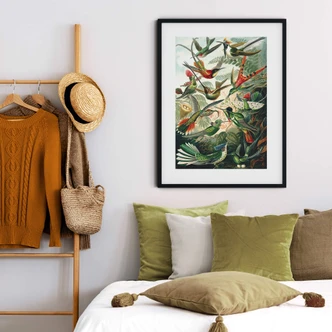 Poster Haeckel - Kolibris 