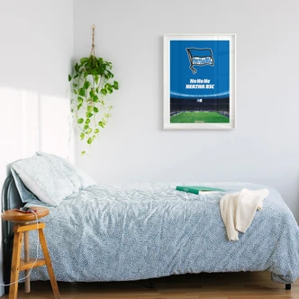 Poster Hertha BSC - HaHoHe 