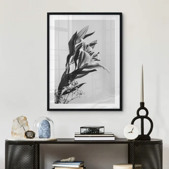 Poster Jo - Zwart-Witte Lelies 