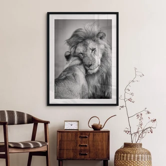 Poster Khataw - Liebe unter Raubkatzen 