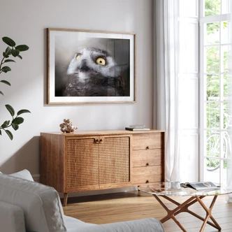 Plakat med natugler - Leon Photography 