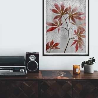 Poster Losada - Roter Ahorn 