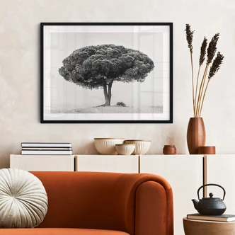 Poster Martin - Boom in het Zwart Wit 