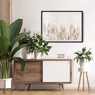 Poster Schilfgräser 