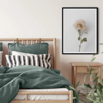 Poster Annie - The Rose 