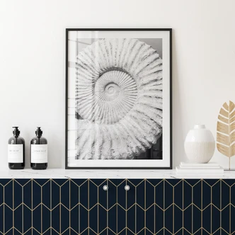 Poster Coquillage fossile - Shot-by-Clint 