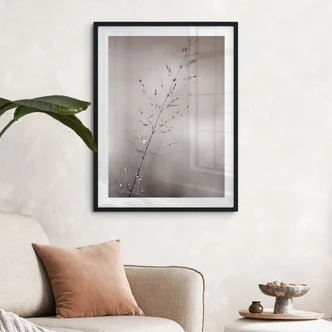 Poster avec motif de la nature - brin d'herbe avec gouttes de rosée - Sillen 