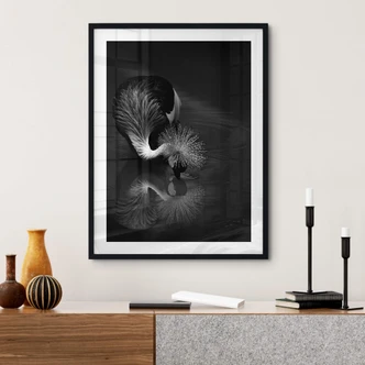 Poster Tjandra - Vogel Reflexion - schwarz-weiß 