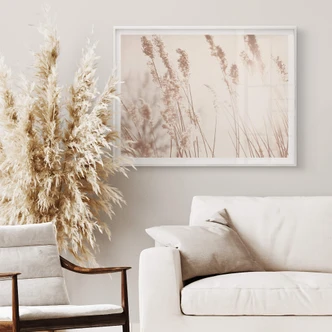 Poster Gräser im Sonnenlicht 
