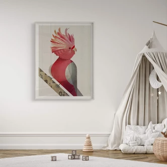Poster Braun - Cacatua rosa 